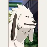 Akamaru character image