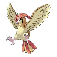 Pidgeotto official Pokemon artwork