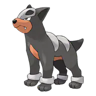 Houndour official Pokemon artwork
