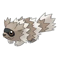 Zigzagoon official Pokemon artwork
