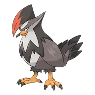 Staraptor official Pokemon artwork