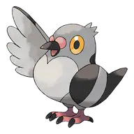 Pidove official Pokemon artwork